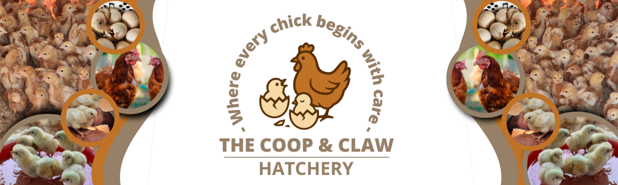The Coop and Claw Hatchery