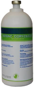 Avivac Coryza 500ml